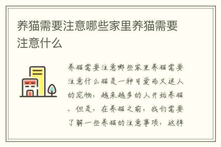 养猫需要注意哪些家里养猫需要注意什么